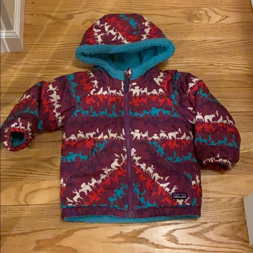 Patagonia winter coat